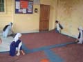 DSC02013